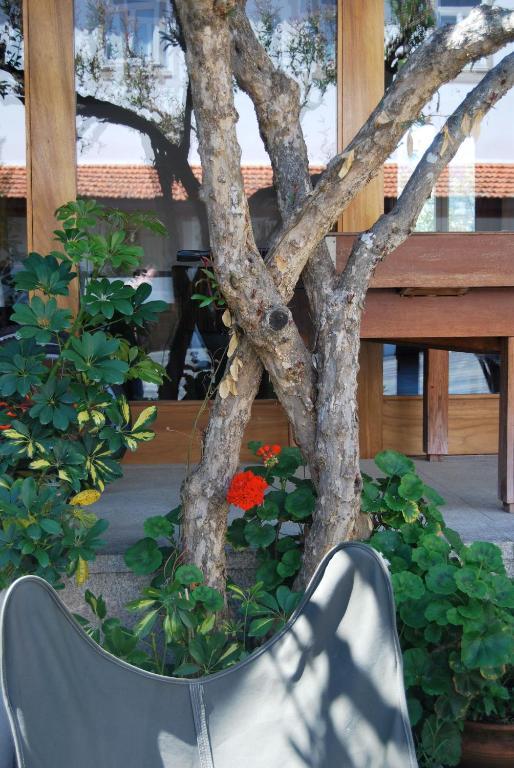 Quinta De Tourais Ξενοδοχείο Lamego Εξωτερικό φωτογραφία